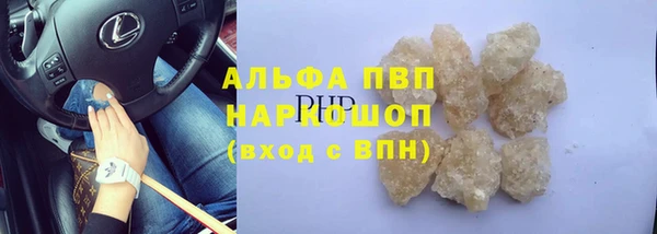 амф Пестово