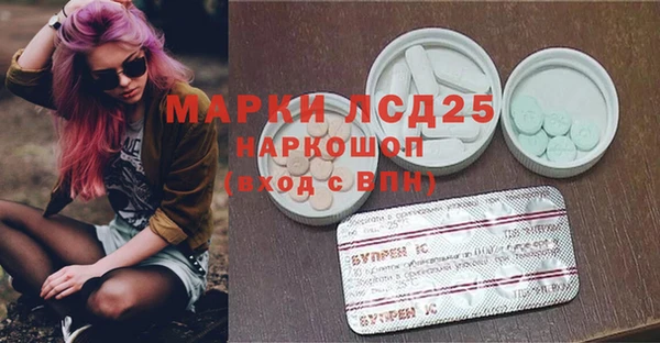 амф Пестово
