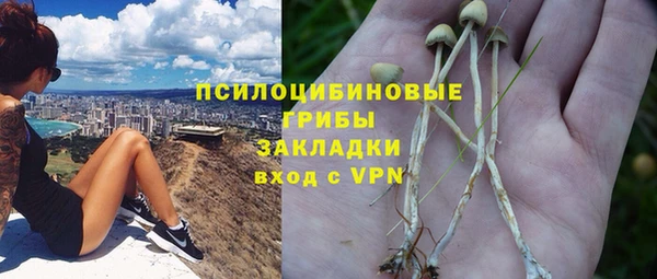 герыч Пересвет