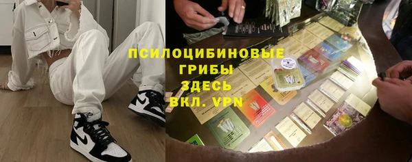 амф Пестово