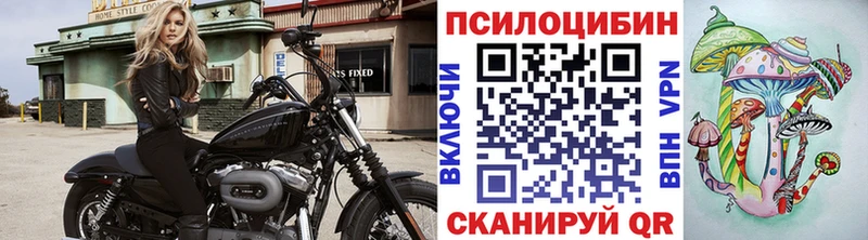 Псилоцибиновые грибы прущие грибы  хочу наркоту  Тырныауз 
